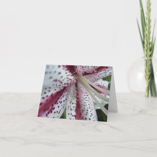 Oriental notecard kort (Framsida)