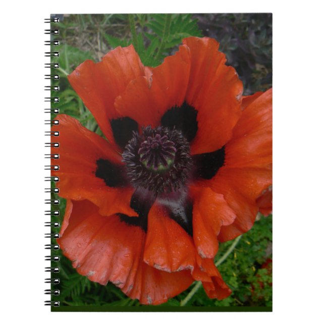 Oriental poppy anteckningsbok (Framsidan)