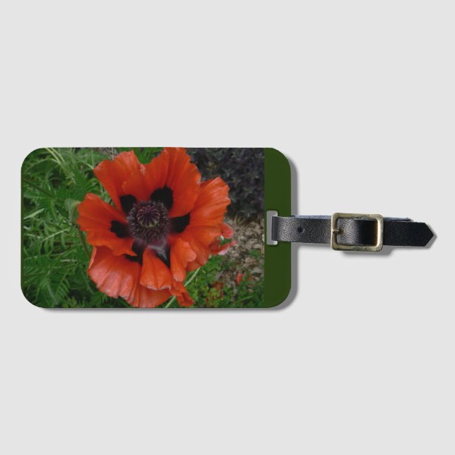 Oriental poppy bagagebricka (Framsida horisontal)