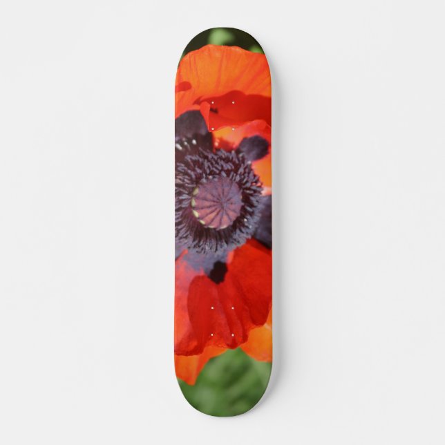Oriental Poppy Flower Mini Skateboard Bräda 18,5 Cm (Framsida)