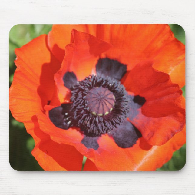Oriental Poppy Flower Musmatta (Framsidan)