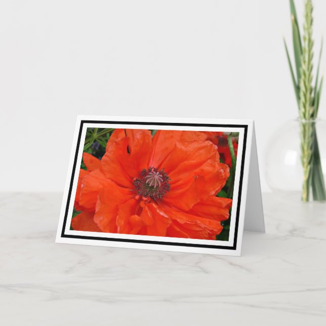 Oriental Poppy Hälsning Card Kort (Framsida)