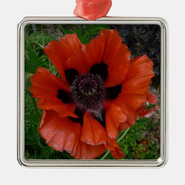 Oriental poppy julgransprydnad metall (Framsidan)