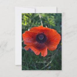 Oriental Poppy med en Orange Anteckningskort