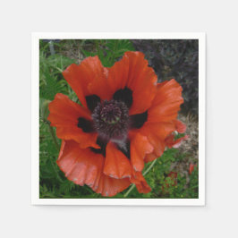 Oriental poppy pappersservett