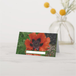 Oriental poppy placeringskort
