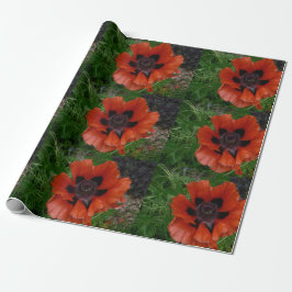 Oriental poppy presentpapper