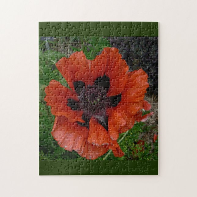 Oriental poppy pussel (Vertikal)