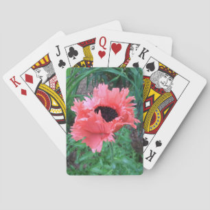 Oriental POPPY ’Rosa Ruffles’ — Kortlek