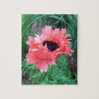 Oriental POPPY ’Rosa Ruffles’ — Pussel