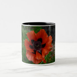 Oriental poppy Två-Tonad mugg
