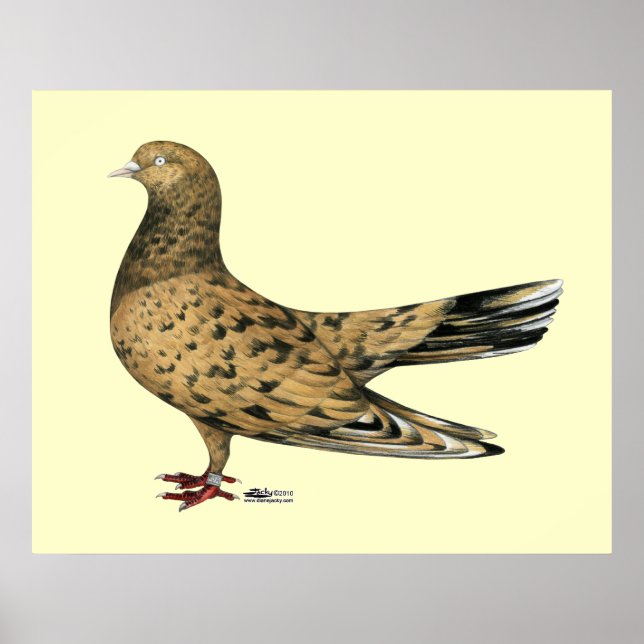 Oriental Roller för flygande: Almond Poster (Framsidan)