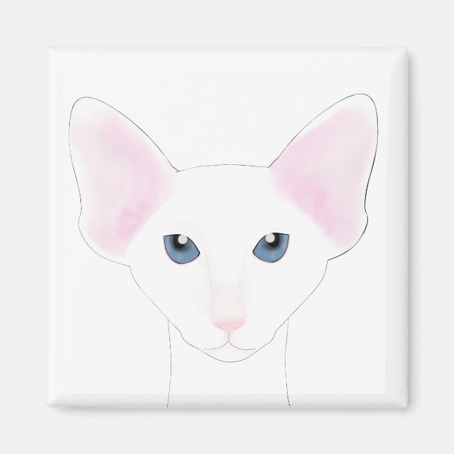 Oriental Shorthair Cat Magnet (Framsidan)