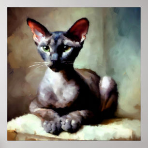 Oriental Shorthair Cat Poster