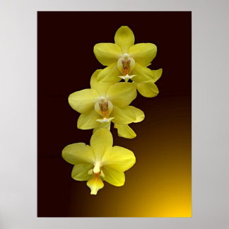 Oriental Touch Poster