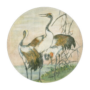 Orientala Cranes vid Vatten