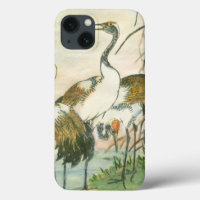 Orientala Cranes vid Vatten
