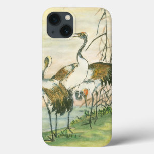 Orientala Cranes vid Vatten