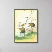Orientala Cranes vid Vatten