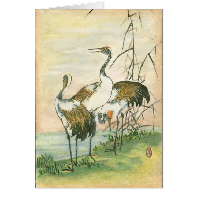 Orientala Cranes vid Vatten Hälsningskort (Framsidan)