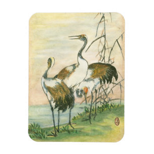 Orientala Cranes vid Vatten Magnet