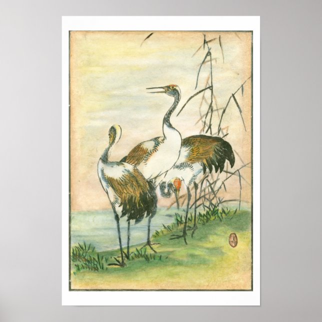 Orientala Cranes vid Vatten Poster (Framsidan)