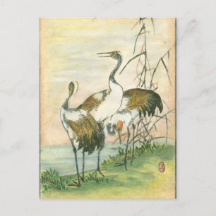 Orientala Cranes vid Vatten Vykort