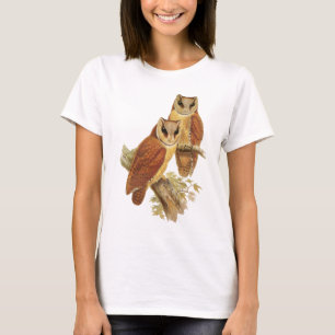 Orientalisk fjärduggla tee