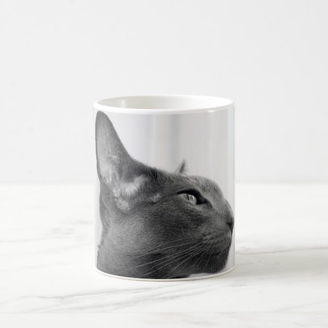 Orientalisk Shorthair kattmugg Kaffemugg (Center)
