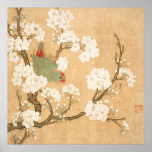 Orientaliskt Kinesiskt Papegoja Och Päronblommor Poster