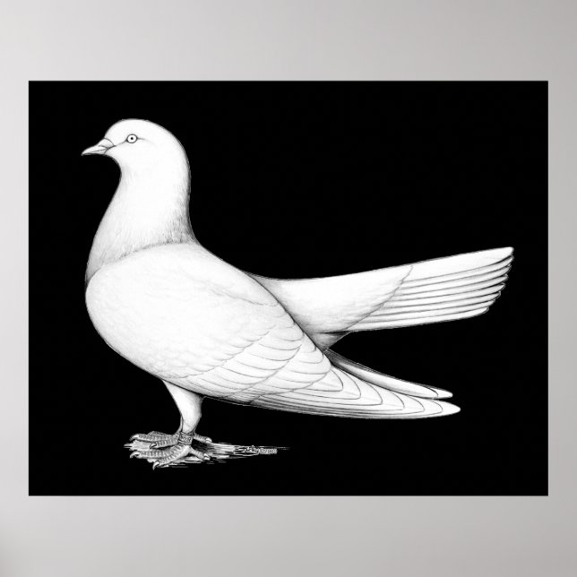 Orientalroller: Flygtyp Poster (Framsidan)