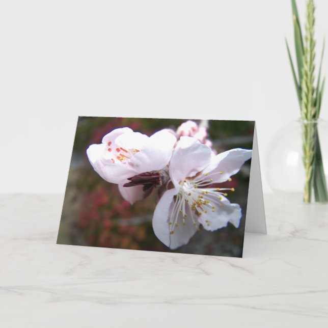 Orienterat Peach Bloom-hälsningskort Kort (Framsida)