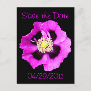 Orientpoppy 'Save the Date' vykort svart