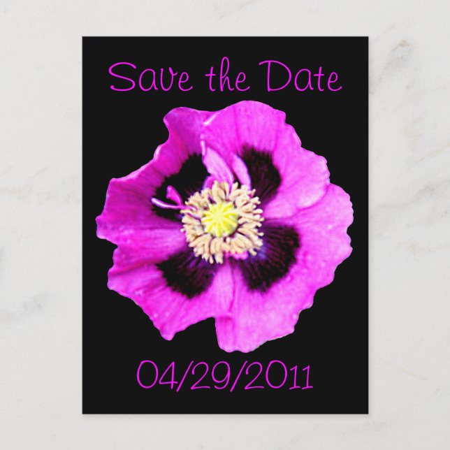 Orientpoppy 'Save the Date' vykort svart (Framsida)