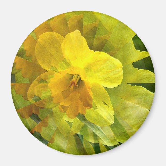 Origami Daffodil...... Magnet (Framsidan)