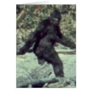 ORIGINAL 1967 BIGFOOT SASQUATCH PHOTO HÄLSNINGSKORT