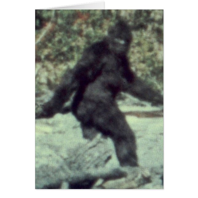ORIGINAL 1967 BIGFOOT SASQUATCH PHOTO HÄLSNINGSKORT (Framsidan)