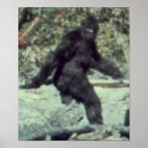 ORIGINAL 1967 BIGFOOT SASQUATCH PHOTO POSTER