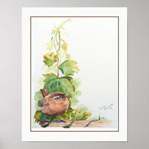 Original Akvarellkonst Stillbild Pacific Wren Fåge Poster