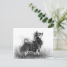 Original Chihuahua Painting Vykort