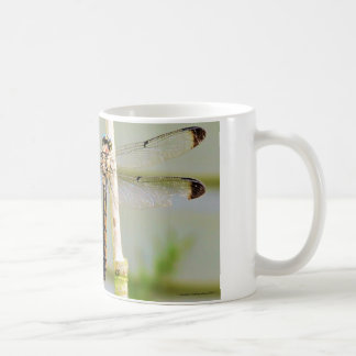 Original- dikt & foto kaffemugg