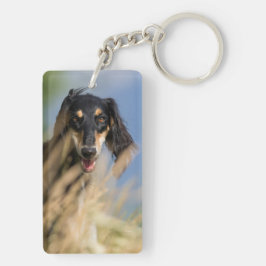 Original Dikt & Pet Photo Blue