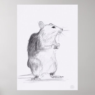 Original- dra affisch 24x36 för råtta