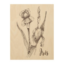 Original Hand Teckning av Iris Flower