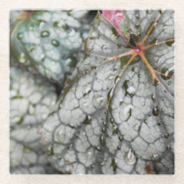 Original- konst "för liten droppe" vid KAS