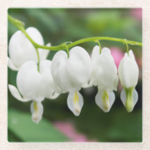 Original- konst "för vithjärta" vid KAS