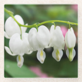 Original- konst "för vithjärta" vid KAS