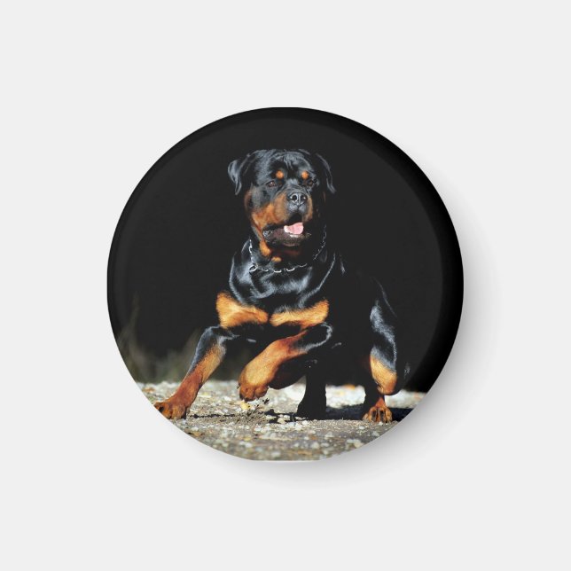 Original Rottweiler Magnet (Framsidan)