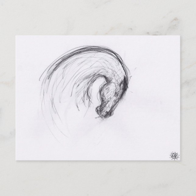 Original teckning 2 Häst År Zodiak Postkort Vykort (Framsida)