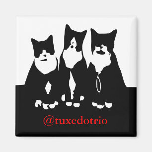 Original- TuxedoTrio magnet